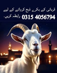 Book Qasai for Bakra  / Qasai / Qasai for Qurbani  / Qasai for dumba