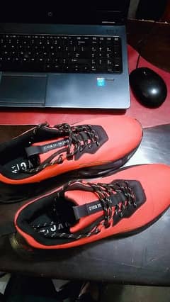 Allbirds wool runner and Casual imported shoe premium condition