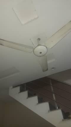 Fan/