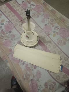 fan
