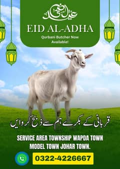 Butcher available/ Qasai available for Qurbani / book Your Qasai