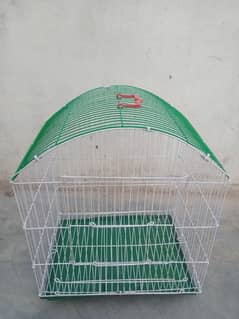 bird