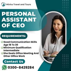 Female Staff - Office Assistant to CEO - Jobs