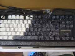 Mechanical Keyboard with custom keycaps