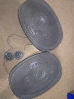 Speaker