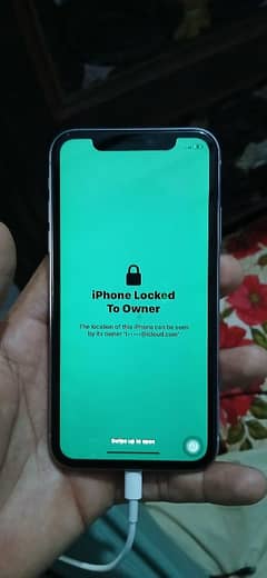 iPhone 11 and colingfan