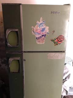 Singer Fridge, Medium Size