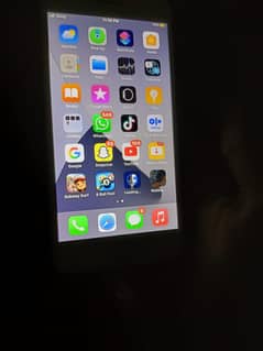 iPhone 7 Plus all ok pta approved