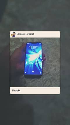 vivo