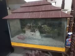 Aqaùriums for sale