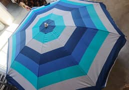 umbrella