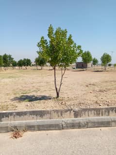 Residential plot for sale in DHA valley Islamabad