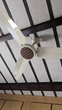 Adil Fan DC