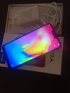 vivo