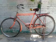 shorab cycle best cycle in the world
