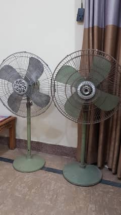 zam zam fan