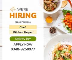 Chef - kitchen helper - Jobs -Delivery boy  Male staff