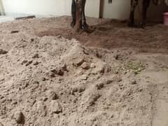 Free Matti,Ghassu Qurbani ke janwer bakron bachron ke liye