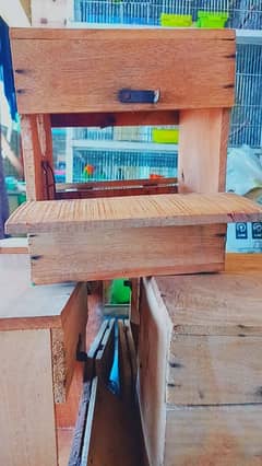Used Lovebird/Coketail Boxes Double Door with Stairs ( As New)
