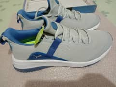 men's shoes / joggers / branded shoes  / puma shoes
