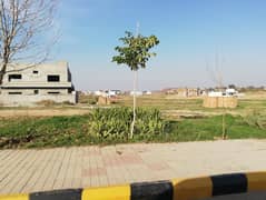 Gulberg