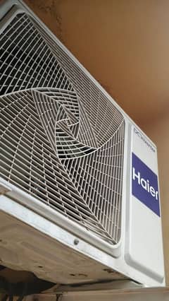 Haier