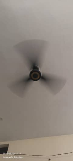 ceiling