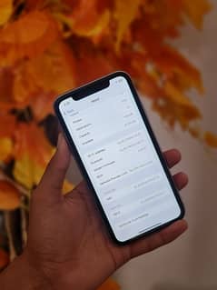 iphone 11 128gb factory unlocked non pta exchange possible