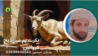 qsai Aasan Aur Saaf Zibah Service – Qurbani Ke Bakre Hum Se Karwayen