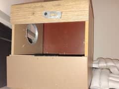 green parrot pair 4 and 6 months age with cage and box