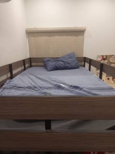 Bunk