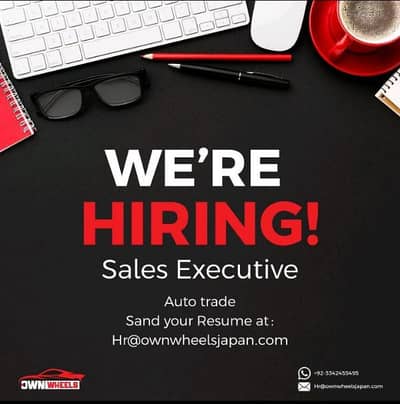 Sales Executive