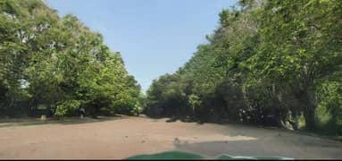 16 Kanal Farm Land (15 Mins Drive from Phase 6 DHA)