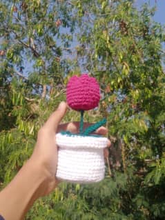 Tulip Pot