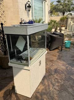 Aquarium and fish tank