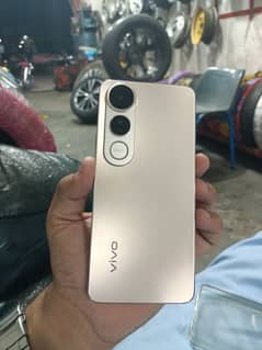vivo