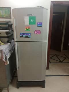 Big Sale . . . Hair Large Size Refrigerator