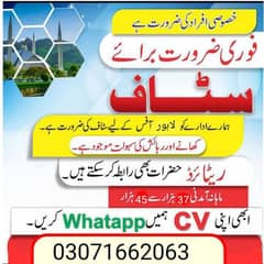 Best job opportunities