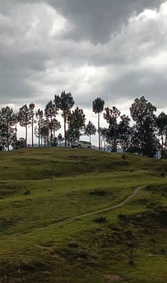 22 Marla Plot For Sale Near Governor House Shimla Hill Road Abbottabad