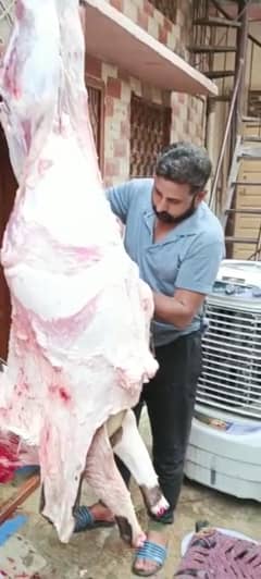 Qurbani Services Available For Eid 3 Days