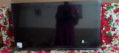 Haier
