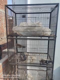 full angle cages for parrot hens raw parrot etc