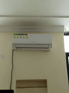 Eco