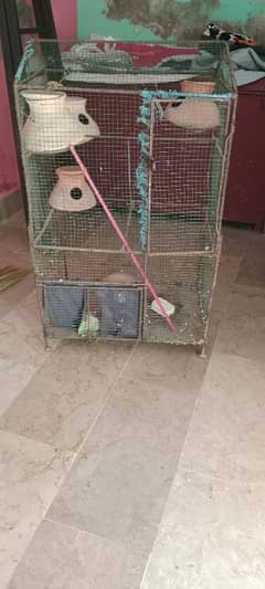 cage bulkul ok hy 2 gate hy