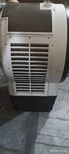 Air cooler