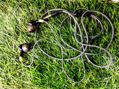 handsfree
