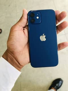 iPhone 12 blue colour