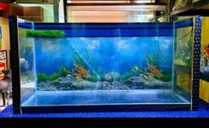 fish
