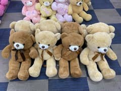 Teddy