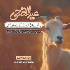 qurani services